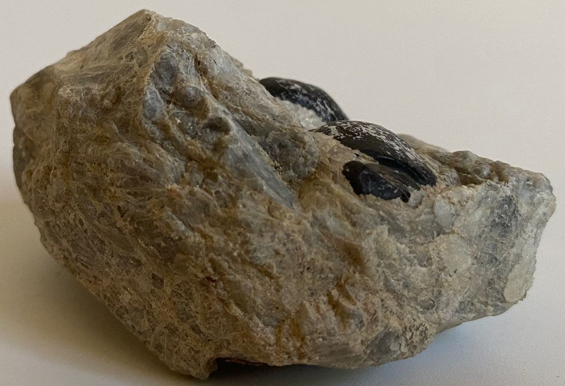 Piatra bruta de 6.8cm din piatra semipretioasa de obsidian lacrima apasului pe fundal alb