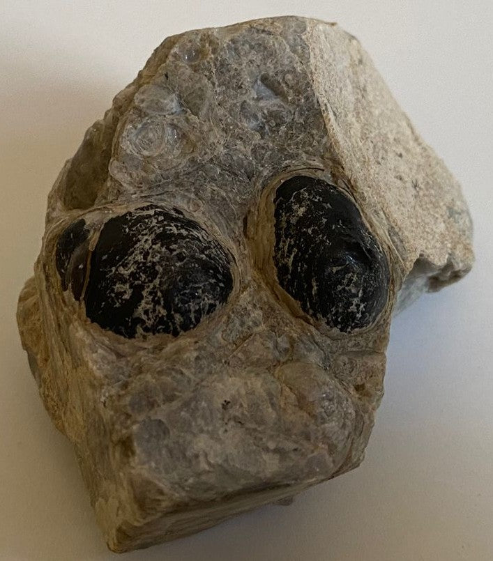 Piatra bruta de 6.8cm din cristal de obsidian lacrima apasului pe fundal alb