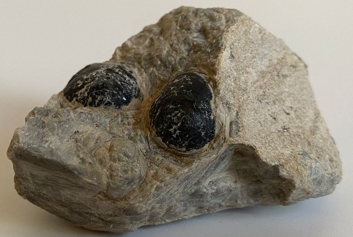 Piatra bruta videcatoare de 6.8cm din piatra semipretioasa de obsidian lacrima apasului pe fundal alb