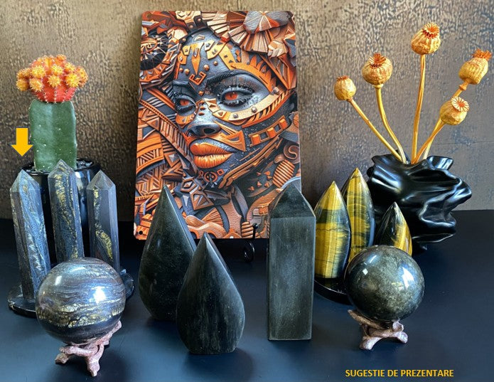 Aranjament de minerale din ochi de tigru si obsidian cu tablou cu fata africana, ghivechi cu cactus si vaza cu flori uscate