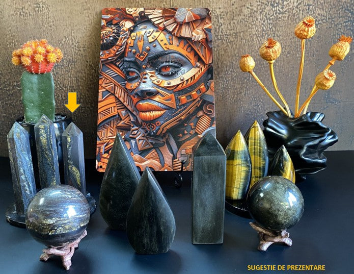 Colectie de minerale din ochi de tigru si obsidian cu tablou cu fata africana, ghiveci cu cactus si vaza cu flori uscate 