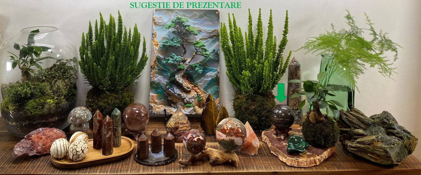 Sferă Ochi de Tigru cu Fier pe suport lemn printre plante și pietre semiprețioase decorativă