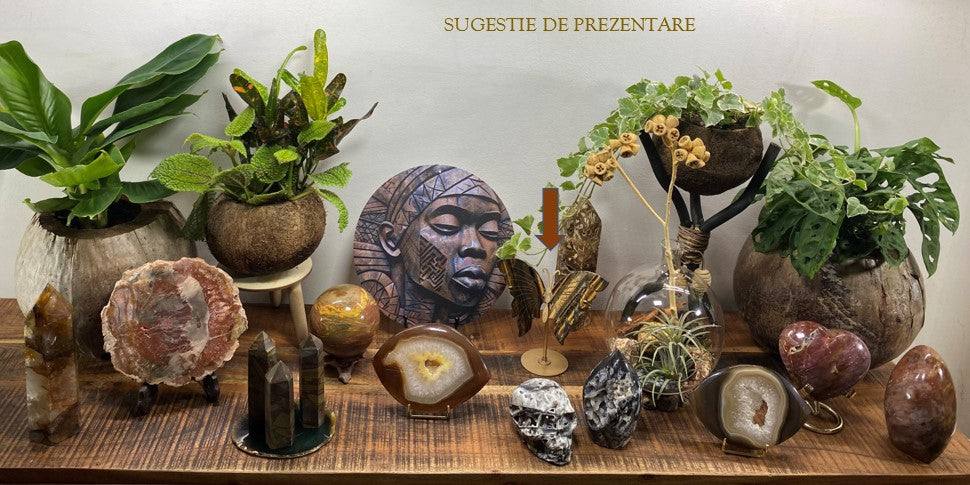 Ochi de Tigru fluture piatra semipretioasa cu suport metalic pe raft decorativ cu plante si cristale ametist