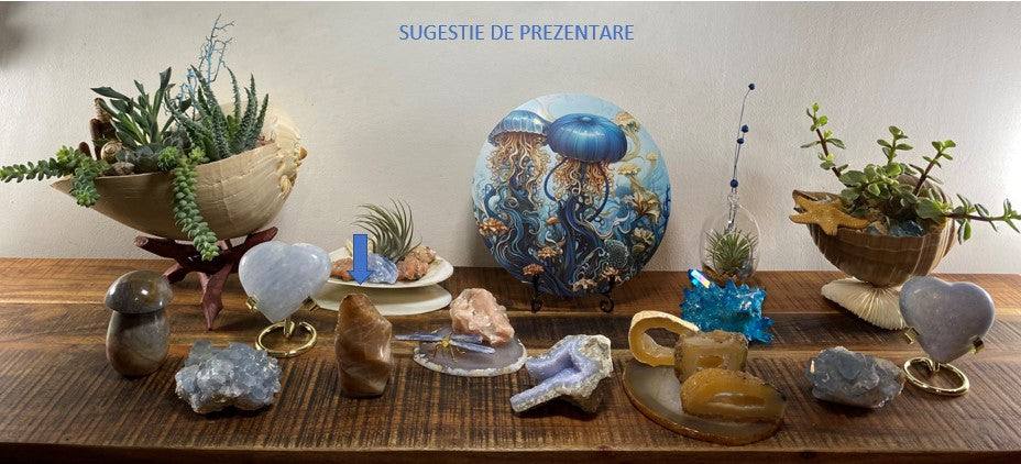 Piatra Lunii Portocalie sculptura piatra semipretioasa aranjata pe masa lemn cu plante suculente si pietre decorative