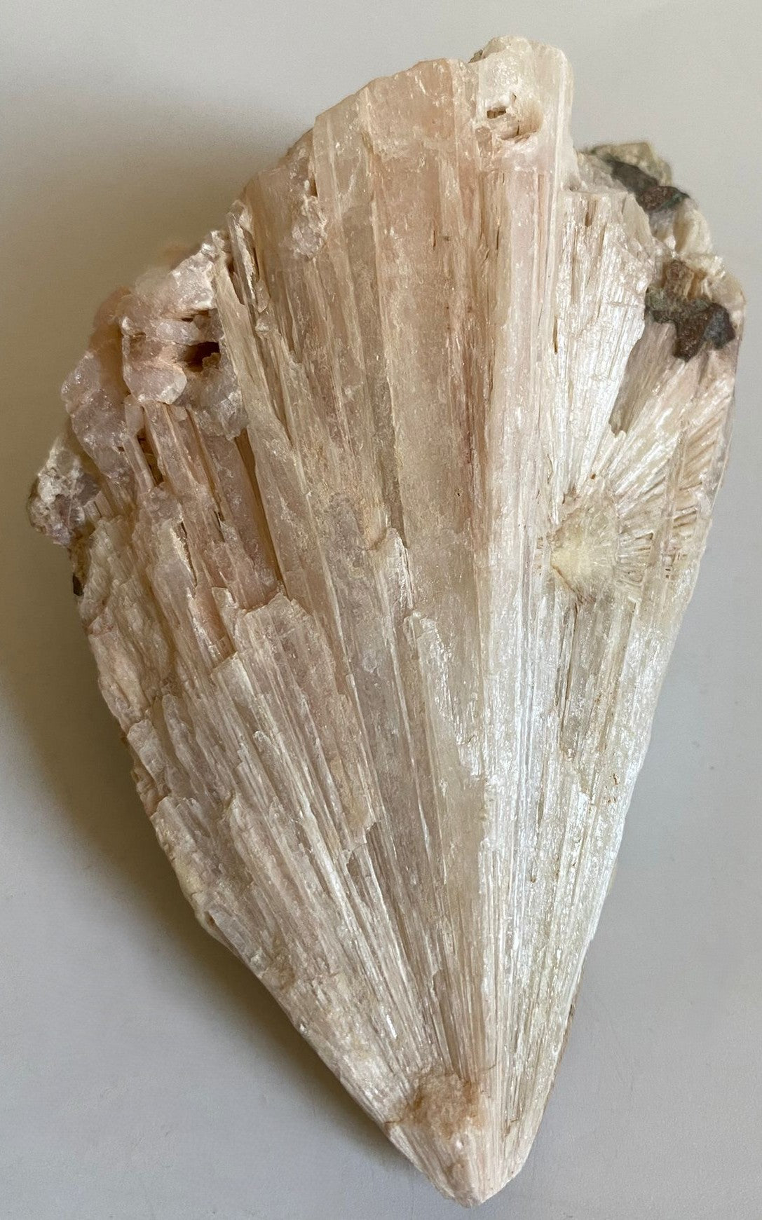 Specimen de 12cm din cristal de scolecit pe fundal alb
