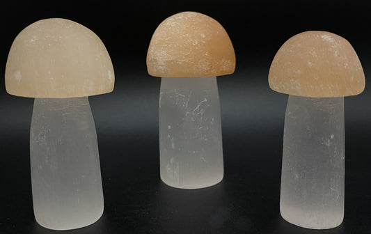 Selenit - Set ciuperci