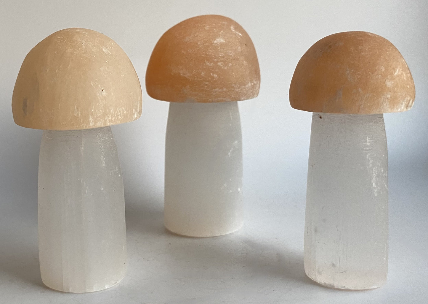 Selenit - Set ciuperci