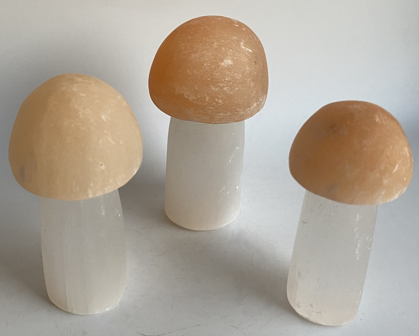 Selenit - Set ciuperci