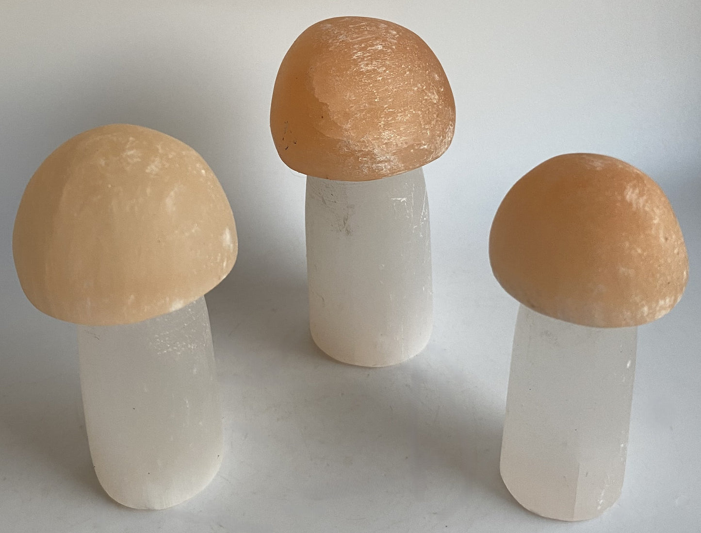 Selenit - Set ciuperci