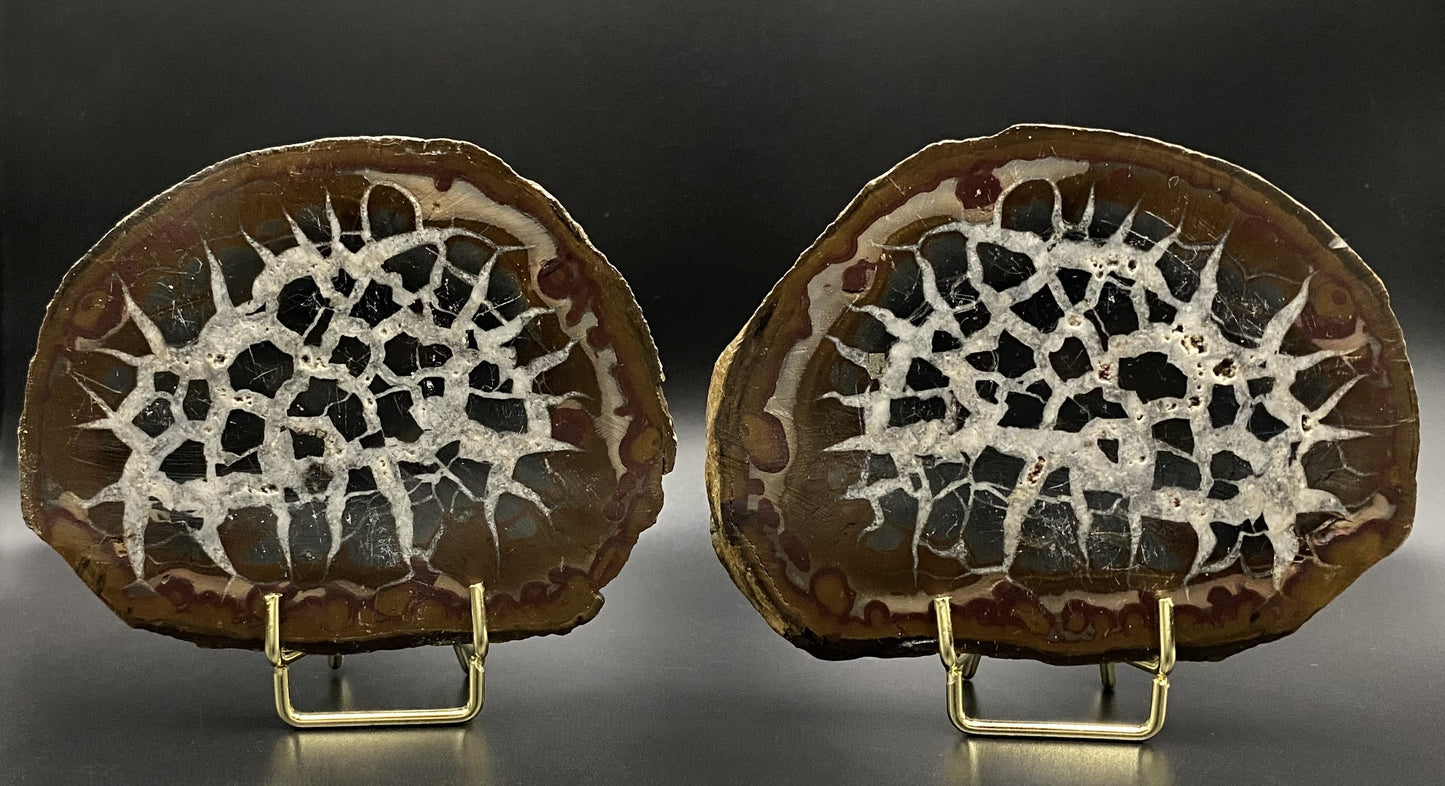 Septaria - Nodul sectionat