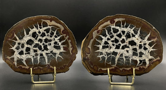 Septaria - Nodul sectionat