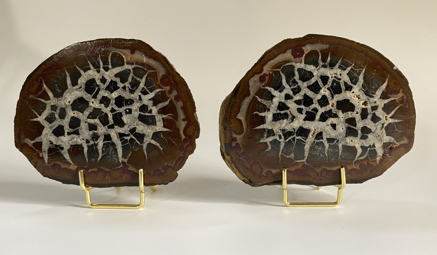 Septaria - Nodul sectionat