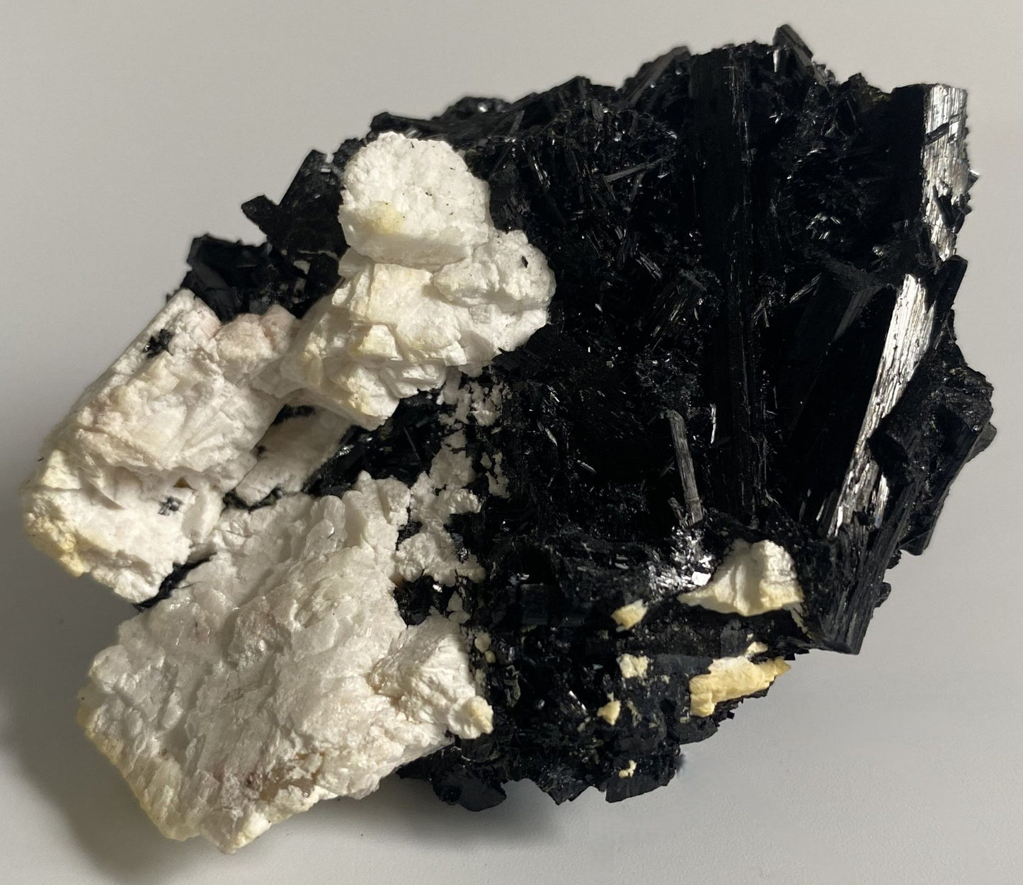 Specimen de 7.8cm din piatra semipretioasa de turmalina neagra cristalizata pe fundal alb